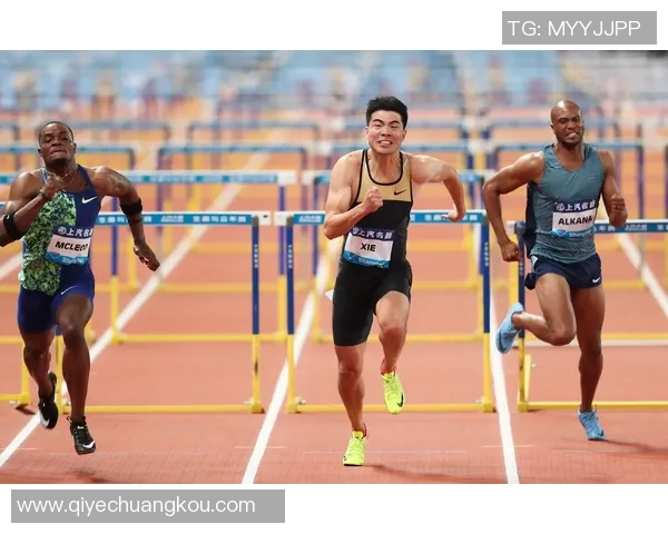 钻石联赛特别报道：上海篮球队拼搏历程与荣耀之路